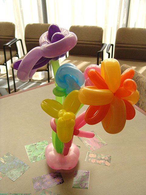 balloon-flowers